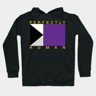 Perfectly Human - Demisexual Pride Flag Hoodie